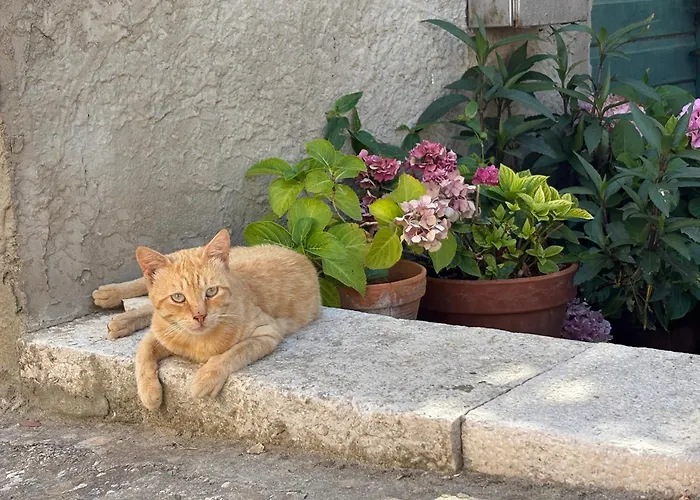 La Casetta Di Gloria Apartman *