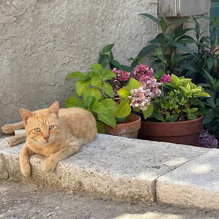La Casetta Di Gloria Apartman *