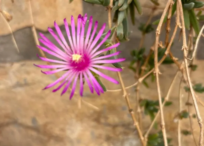 Διαμέρισμα La Casetta Di Gloria *